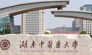 Pakistani, Scientist, Hunan, University, Medicine, Honour