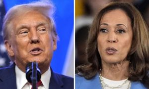 Trump, Harris, US Presidential Election, Donald Trump, Texas, Kamala Harris, Republican, Democrat, Voters