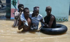 Nigeria, Red Cross, Floods, Africa, Niger River,