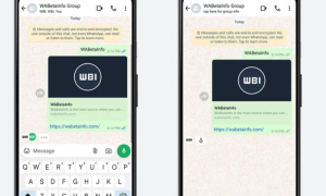 WhatsApp, Introduces, Typing, Indicator, Enhanced, Chat Experience