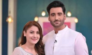 Agha Ali, Hina Altaf, Actor, Singer, Pakistan, Divorce, Marriage, Relationship, Social Media