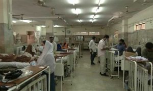 Pakistan, Congo Fever, Quetta, Virus, Fatima Jinnah Institute,