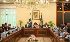 Africa, Pakistan’s Foreign Secretary, Amna Baloch, Pakistan, trade, investment, Foreign Ministry,