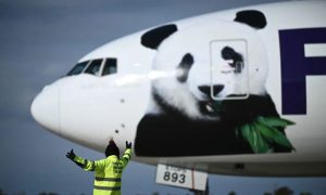 Pandas, United States, US, Zoo, Beijing, Panda Diplomacy, Xi Jinping, Joe Biden, Chinese, American, California, Virginia, Washington