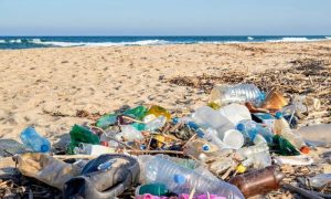 Australian researchers, plastic waste, beaches, Plastic Waste on Beaches, space, RMIT University, Melbourne, Beached Plastic Debris Index, BPDI,