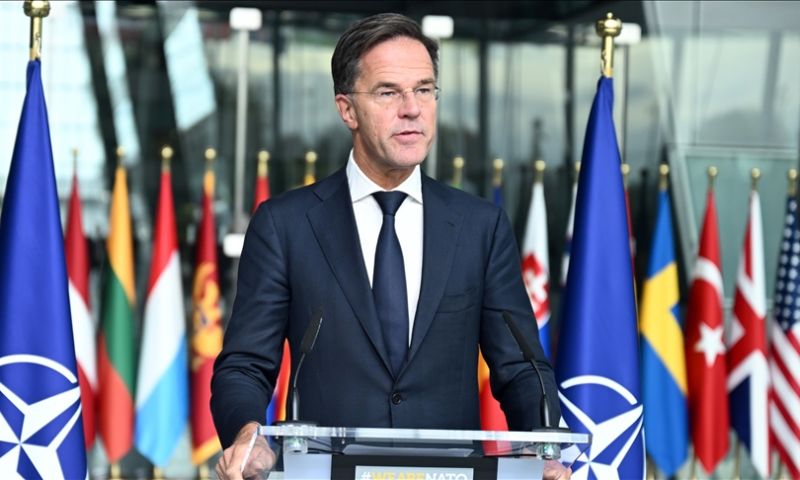 NATO, US Election, Berlin, Olaf Scholz, Ukraine, Russia, Donald Trump, Kamala Harris, North Korea, Mark Rutte