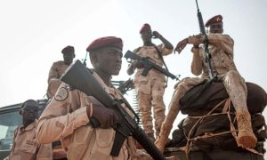 UN Security Council, Sudan, Paramilitary