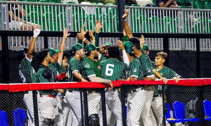 Pakistan, Afghanistan, Baseball United Arab Classic, Dubai