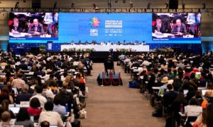 UN Summit, Cali Fund, Nature, United Nations, Columbia, COP15, COP16, Health, Genetic Data, Antonio Guterres