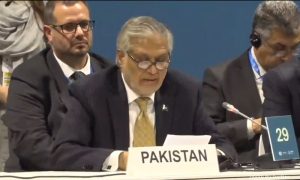 COP29, NDMA, Baku, Ishaq Dar,